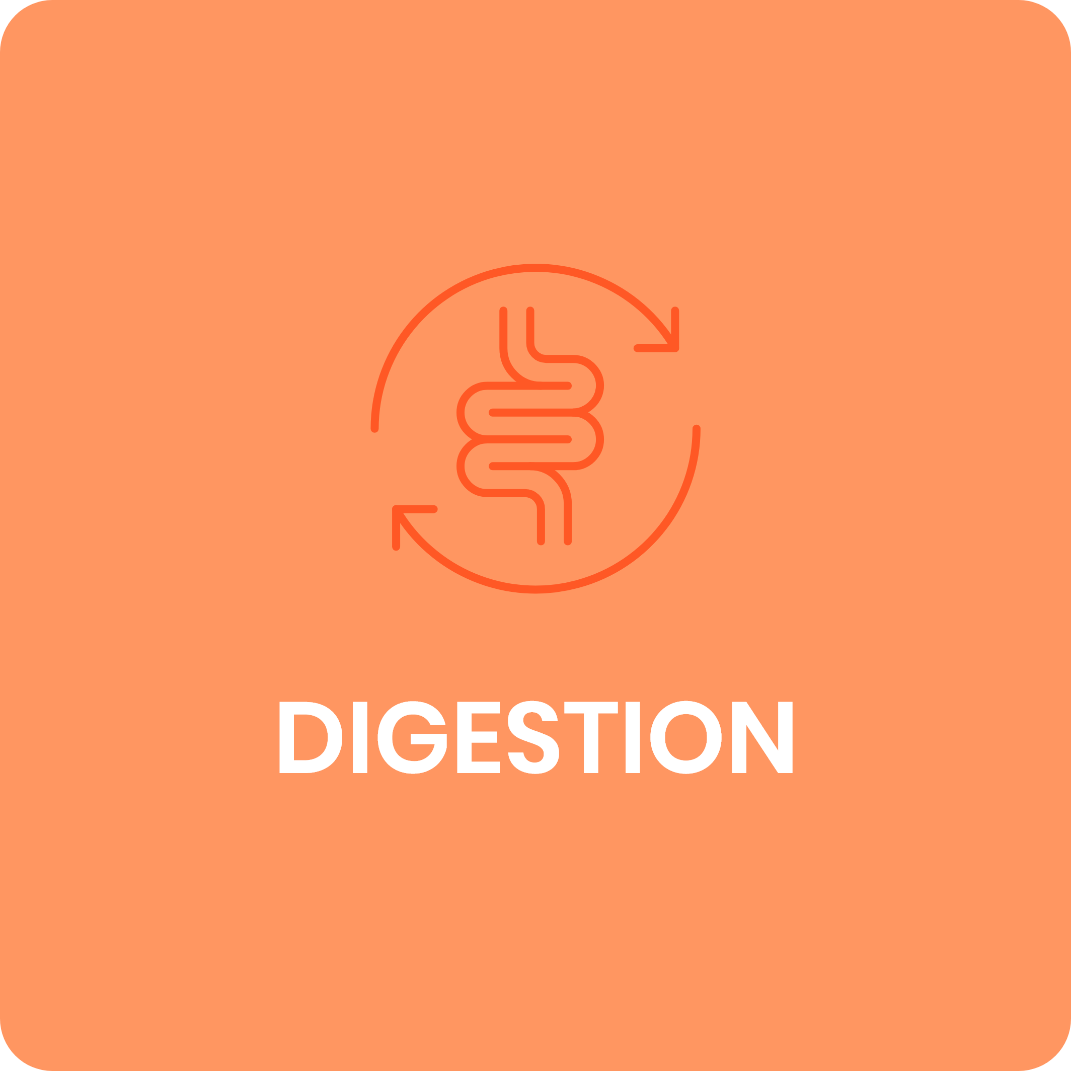 Digestion